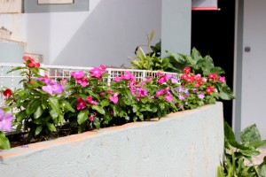 03-IMG_0532